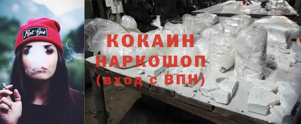 ГАЛЛЮЦИНОГЕННЫЕ ГРИБЫ Бородино
