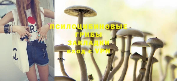 дживик Балахна