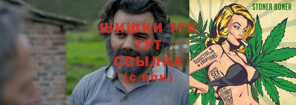 дживик Балахна